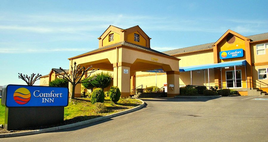 Raven Studios & Blue Water Taco Grill